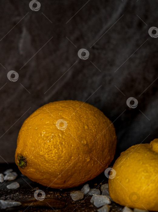 Скачать лимон фотосток Ozero