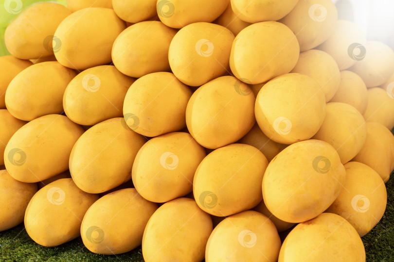 Скачать Куча свежего желтого манго на фруктовом рынке фотосток Ozero