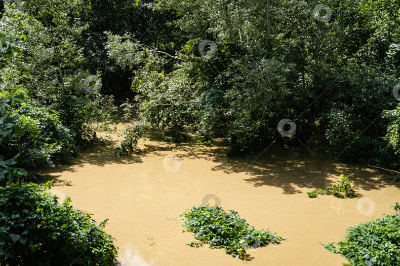 Скачать Мутные воды разливающейся горной реки в лесу. Крупный план. Быстрое течение горной реки после проливных дождей в горах Северного Кавказа. Мутные воды уничтожают все на своем пути. фотосток Ozero