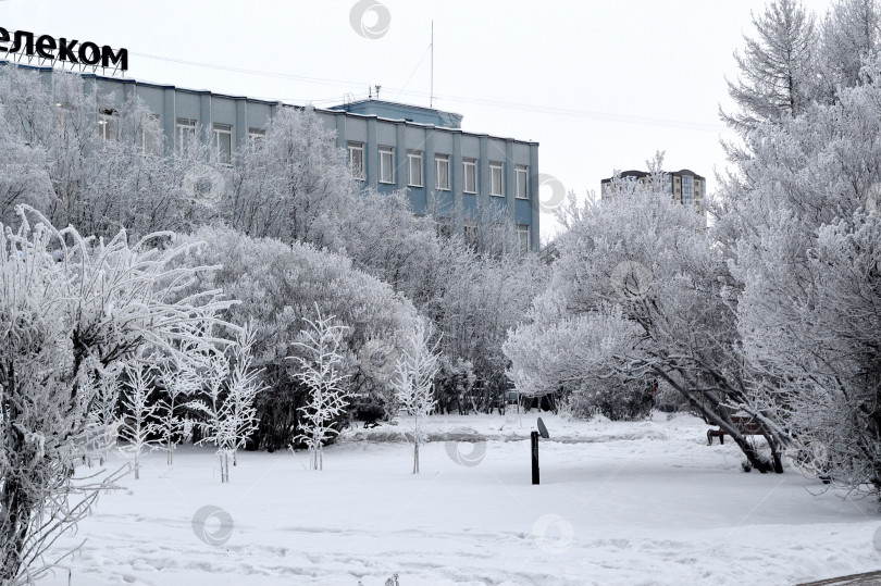 Скачать Мурманск в конце осени. фотосток Ozero