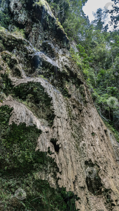 Скачать Фрагмент красивого тропического водопада. фотосток Ozero