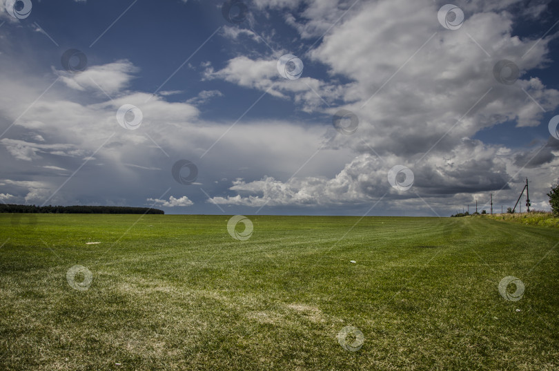 Скачать зеленое поле и голубое небо с белыми облаками, фон природного ландшафта. фотосток Ozero
