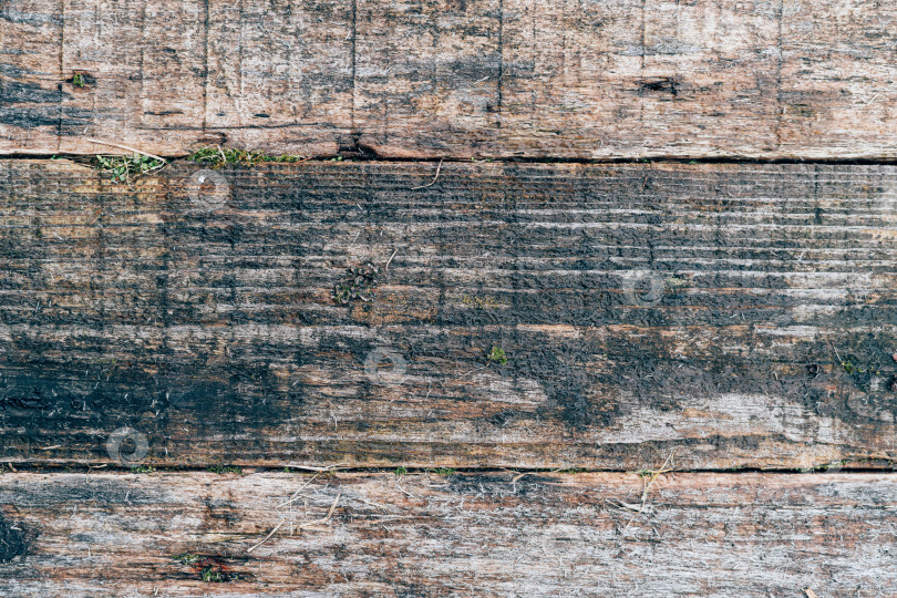 Скачать Текстура старого дерева для веб-фона, ветхий, прогнивший деревянный фон фотосток Ozero