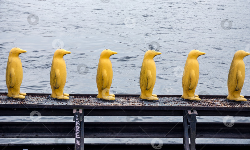 Скачать Художественная инсталляция "Желтые пингвины" фотосток Ozero