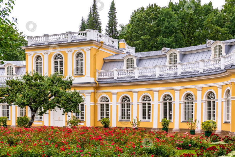 Скачать Большая оранжерея Петергофа. Санкт-Петербург. Россия. 8 августа 2022 года фотосток Ozero