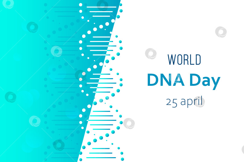 Скачать Национальный день ДНК отмечается 25 апреля. Плакат, баннер с изображением двойной спирали ДНК и текстом. Плоская векторная иллюстрация фотосток Ozero