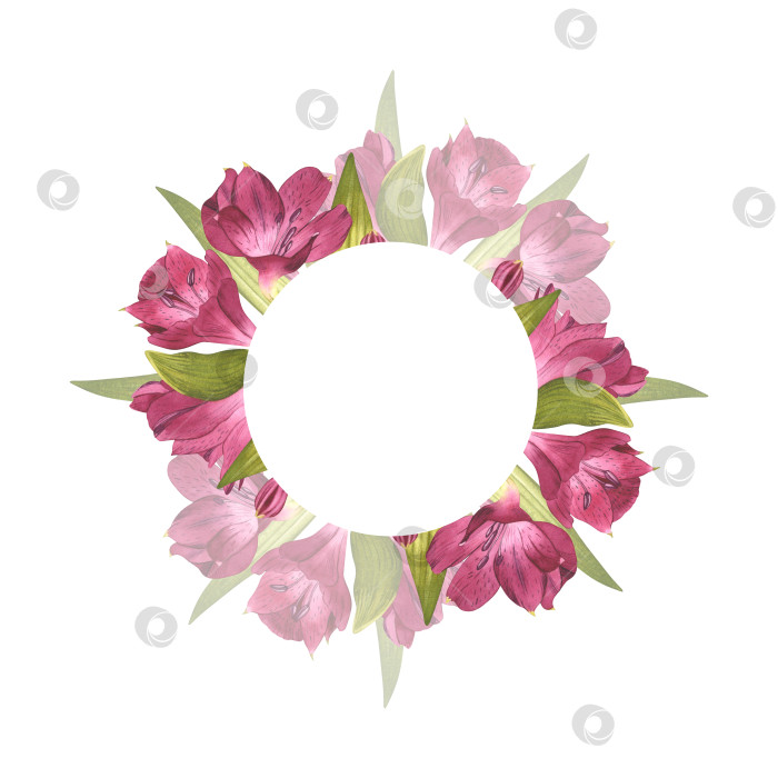 Скачать Красивая альстромерия. Перуанская лилия. Круглая рамка из розовых цветов с зеленью. Для оформления фона, поздравительной открытки, приглашения на свадьбу. Сохраните дату фотосток Ozero