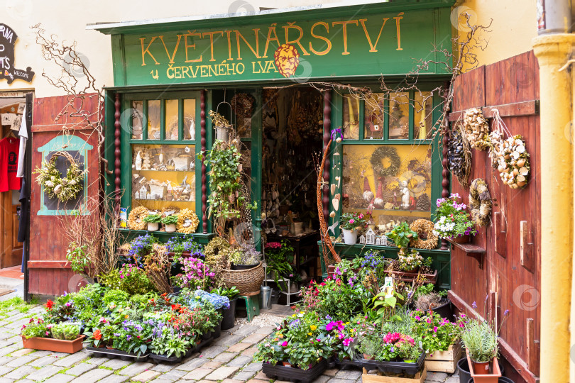 Скачать Цветочный магазин в Праге фотосток Ozero