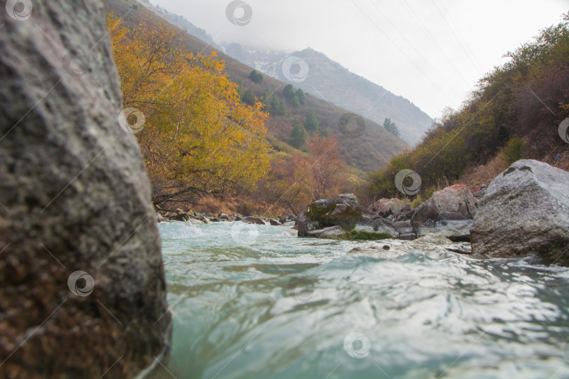 Скачать осенний пейзаж, горы, река и желтые деревья фотосток Ozero