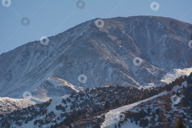 Скачать горный лес в ущелье Ала-Арча, Кыргызстан фотосток Ozero