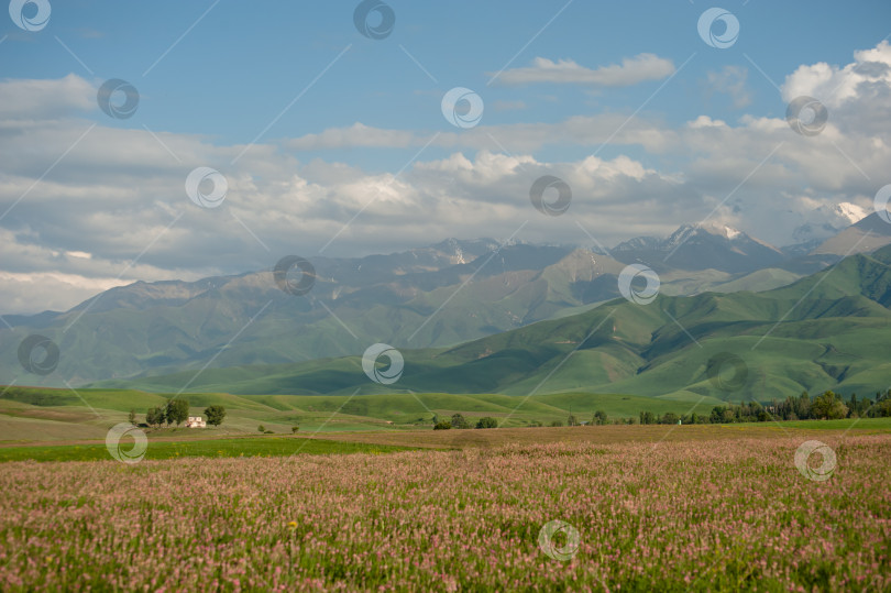 Скачать Горный весенний пейзаж, природа Бишкека, Кыргызстан фотосток Ozero