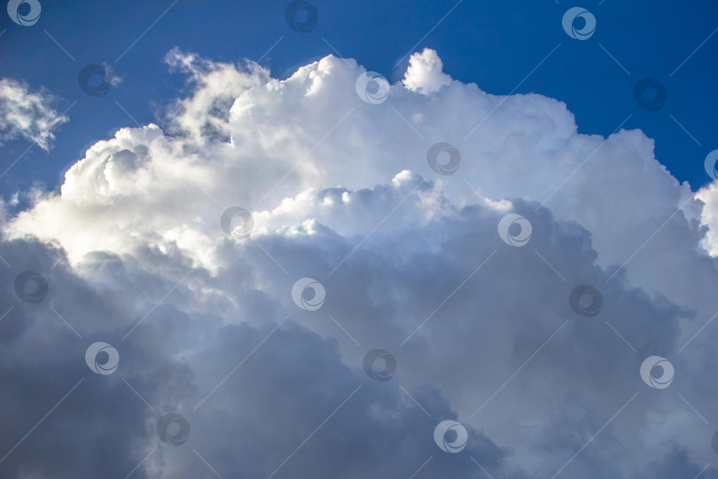 Скачать кучевые облака на голубом небе. Красивое небо фотосток Ozero