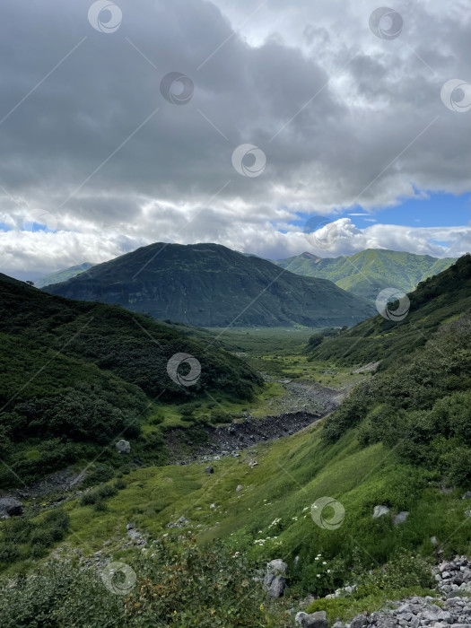 Скачать По дороге к озеру «Зеленое» фотосток Ozero