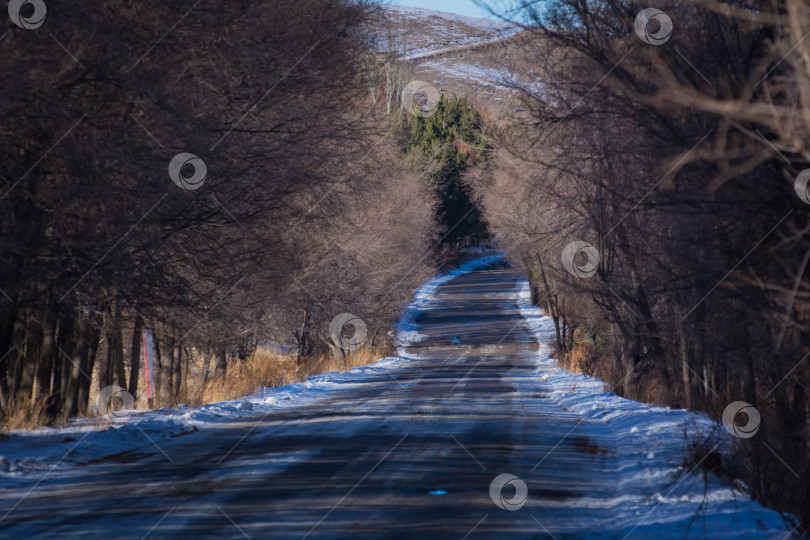 Скачать зимняя дорога, проходящая среди деревьев фотосток Ozero