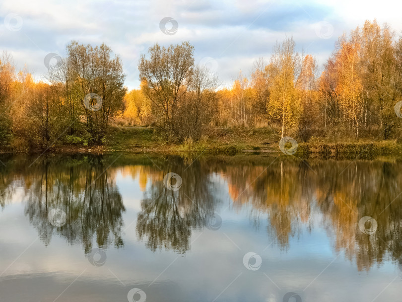 Скачать Осенние желтые листья деревьев зеркально отражаются в воде озера фотосток Ozero