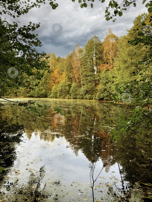 Скачать Лесное озеро с деревьями, отражающимися на водной глади, осенний пейзаж фотосток Ozero