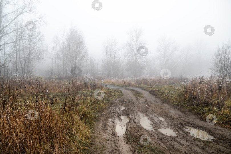 Скачать Грязная раскисшая дорога с лужами после дождя в поле на фоне туманного осеннего утреннего пейзажа. фотосток Ozero