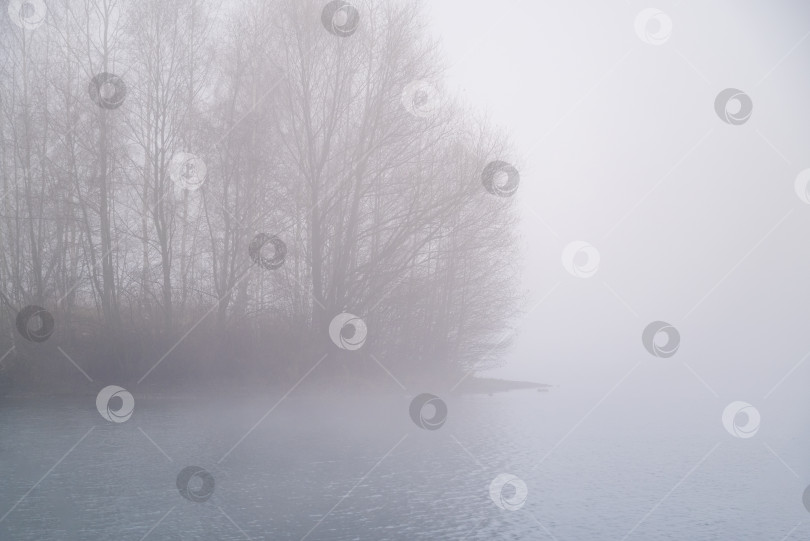 Скачать Густой туман над озером ранним утром. Силуэты голых деревьев на маленьком острове вдалеке отражаются в водной ряби. фотосток Ozero