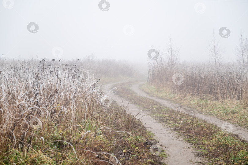 Скачать Грунтовая извилистая дорога через поле в покрытом тонким туманом осеннем утреннем пейзаже Грунтовая извилистая дорога через поле в покрытом тонким туманом осеннем утреннем пейзаже фотосток Ozero