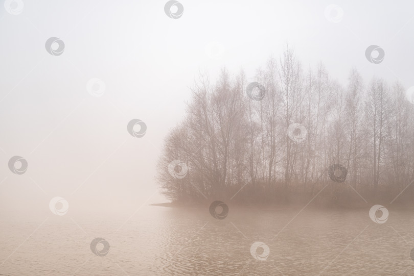 Скачать Густой туман над озером ранним утром. Силуэты голых деревьев на маленьком острове вдалеке отражаются в водной ряби. фотосток Ozero