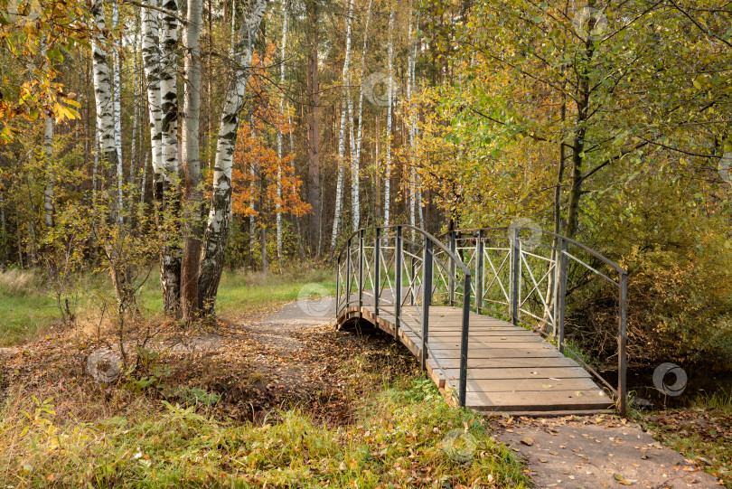 Скачать Живописный деревянный мостик через ручей в осеннем парке среди деревьев с желтеющей листвой фотосток Ozero