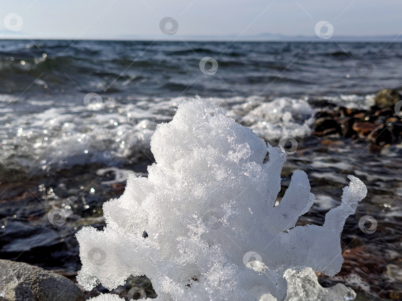 Скачать Льдинка на берегу моря фотосток Ozero