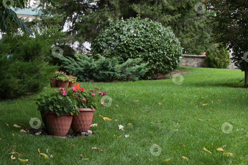 Скачать красивый формальный сад с обеденной зоной, столом-тандыром и скамейкой на фоне белого куста гортензии фотосток Ozero