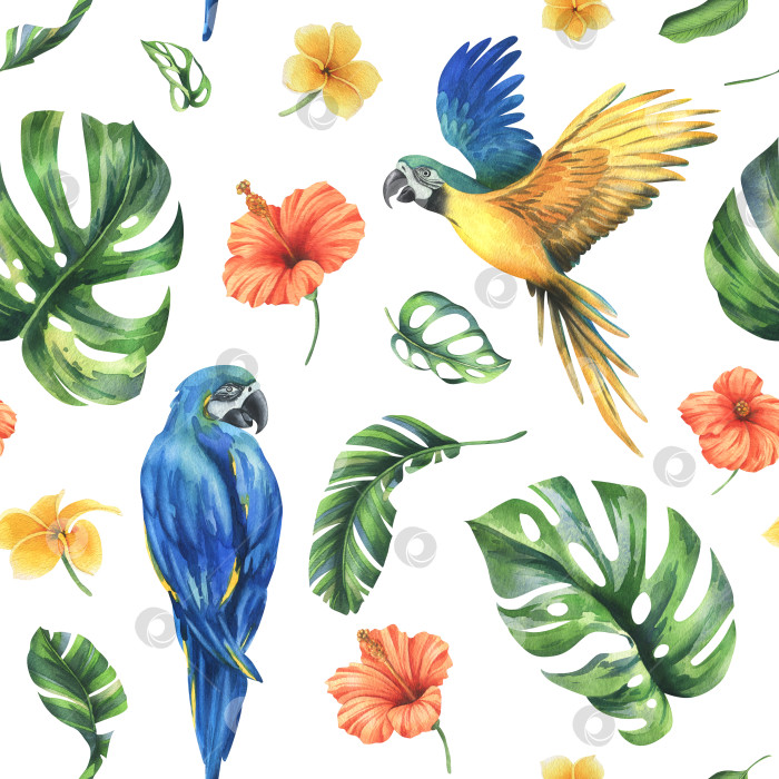 Скачать Тропические пальмовые листья, монстера и цветы плюмерии, гибискус, яркий сине-желтый попугай ара. Ботаническая иллюстрация, нарисованная акварелью от руки. Бесшовный узор на белом фоне фотосток Ozero