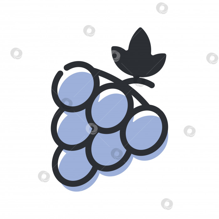 Скачать Значок виноградной линии, контурный векторный знак, линейная пиктограмма, выделенная на белом фоне. Иллюстрация логотипа фотосток Ozero