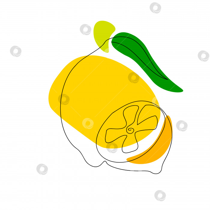 Скачать Рисунок лимона, нарисованный одной непрерывной линией фотосток Ozero