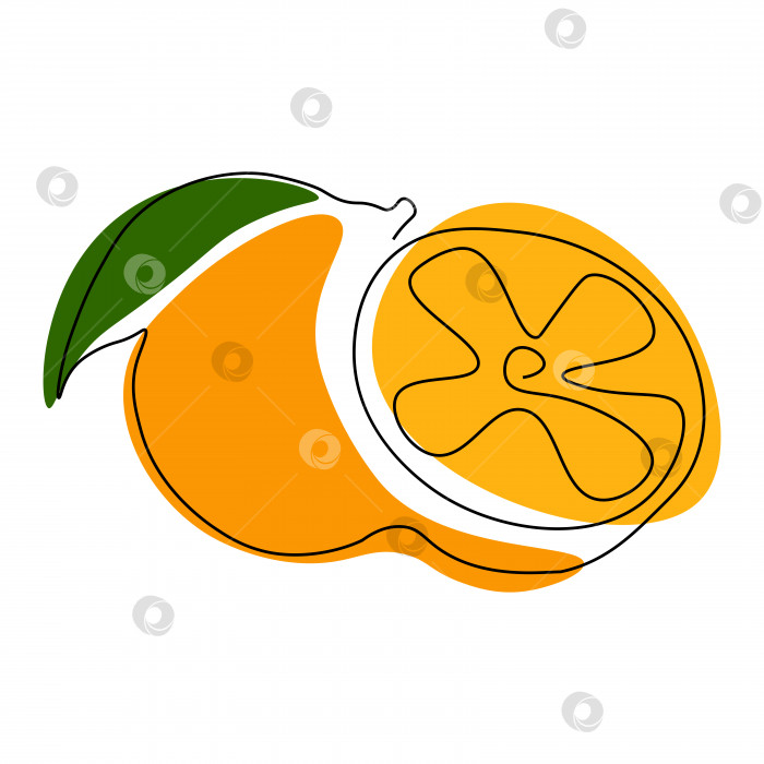 Скачать Рисунок апельсина, нарисованный одной непрерывной линией фотосток Ozero