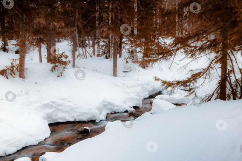 Скачать Зимняя река в красных тонах фотосток Ozero