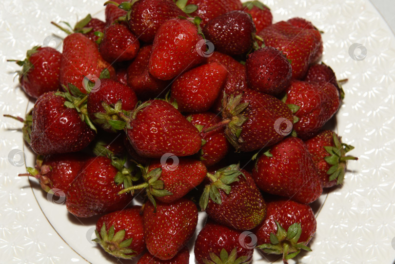 Скачать Витаминные ягоды фотосток Ozero