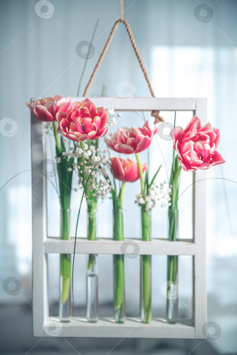 Скачать подвесная композиция с тюльпанами в пробирках, цветочных колбах фотосток Ozero