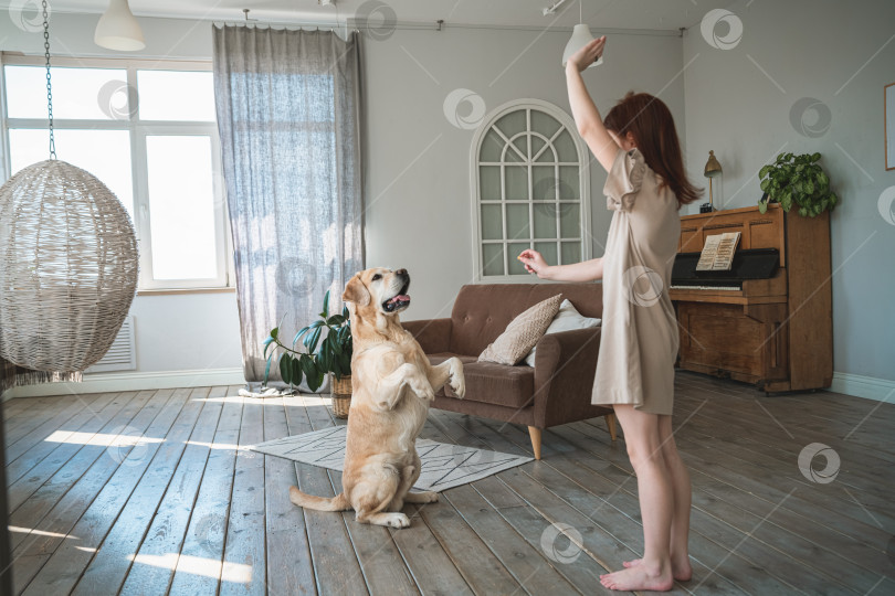 Скачать Симпатичная девушка дрессирует собаку лабрадора дома фотосток Ozero
