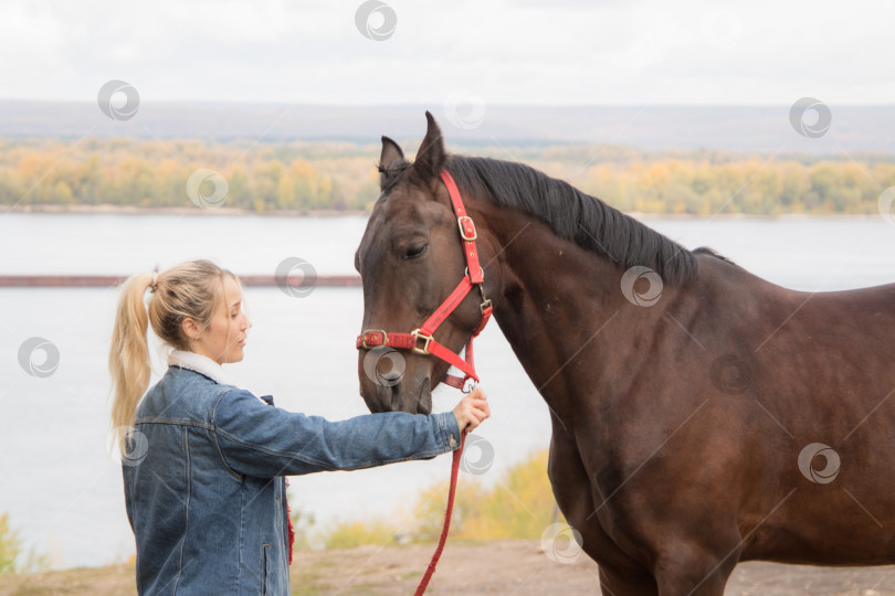Скачать Портрет молодой красивой девушки тренирующей лошадь на фоне осеннего пейзажа фотосток Ozero