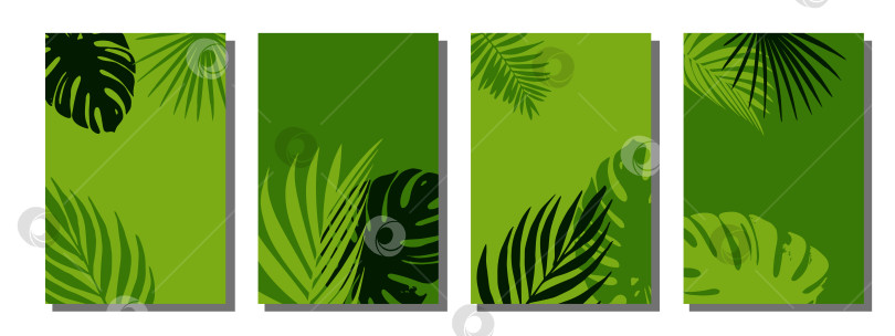 Скачать Набор тропических фонов в минималистском стиле, с пространством для текста. Летний фон с пальмовыми листьями. фотосток Ozero