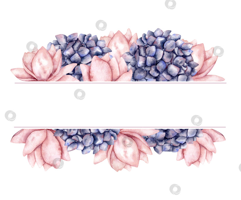 Скачать Нарисованная вручную акварельная рамка с гортензией фотосток Ozero