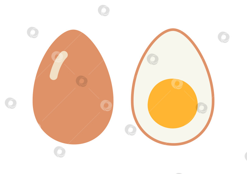 Скачать Яйца в скорлупе и половинках, мультяшный стиль. Векторная иллюстрация, изолированная на белом фоне, нарисованная от руки, плоский дизайн фотосток Ozero