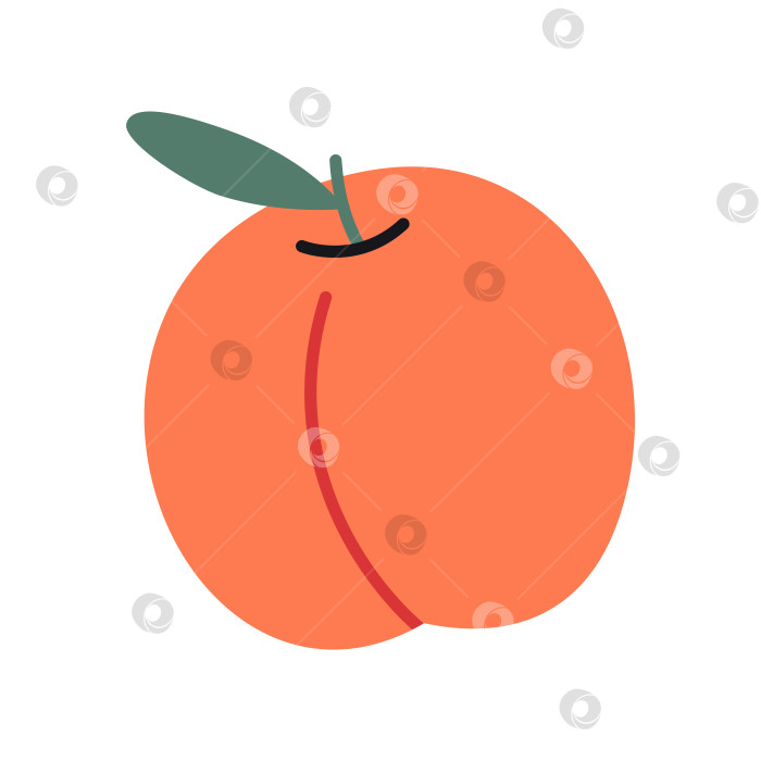Скачать Цельный плод персика в мультяшном стиле. Векторная иллюстрация, изолированная на белом фоне, нарисованная от руки, плоский дизайн фотосток Ozero