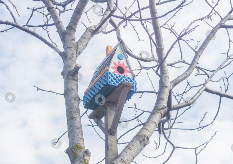 Скачать Красивый декорированный скворечник на дереве фотосток Ozero