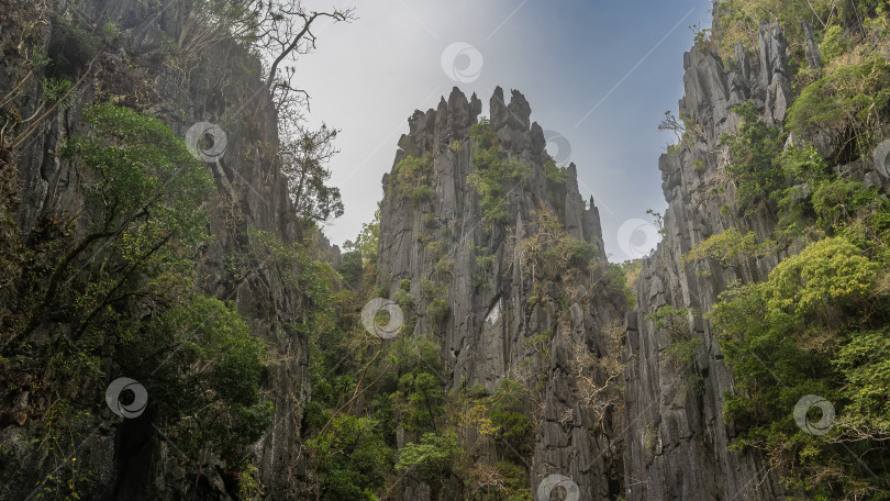 Скачать Живописные карстовые скалы с причудливыми острыми вершинами на фоне голубого неба. фотосток Ozero