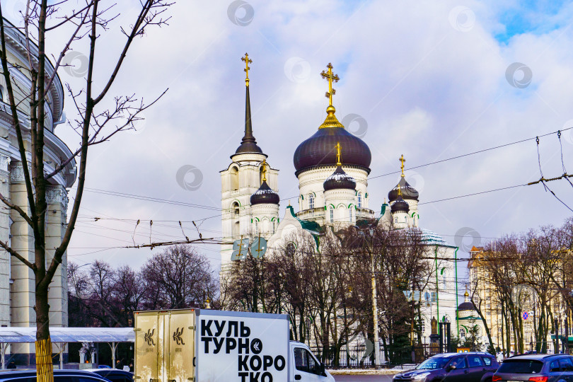 Скачать Благовещенский кафедральный собор. Воронеж фотосток Ozero