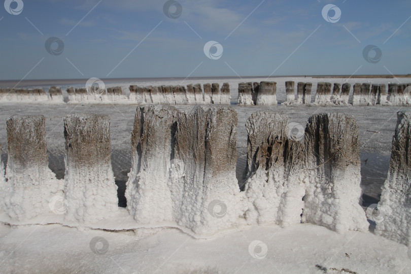 Скачать Озеро Эльтон в Волгоградской области. фотосток Ozero