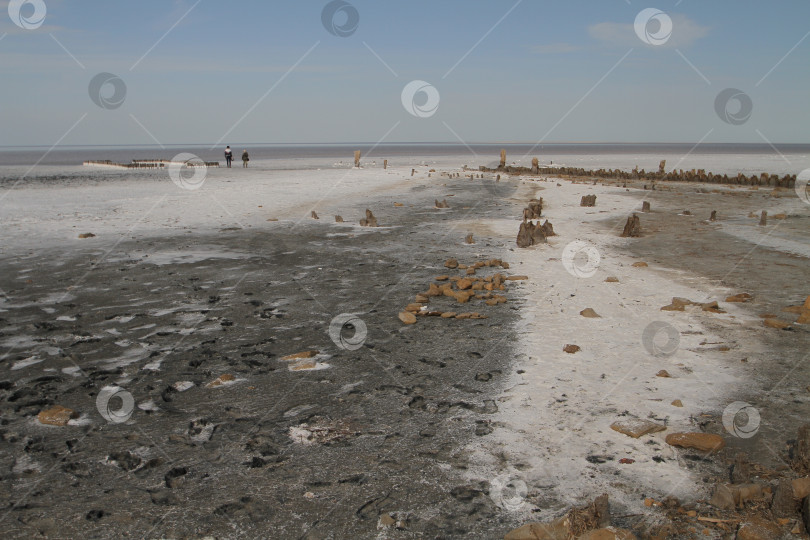 Скачать Солёное озеро Эльтон  в Волгоградской области. фотосток Ozero