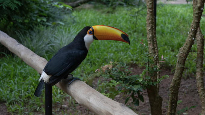 [object Object] undefined