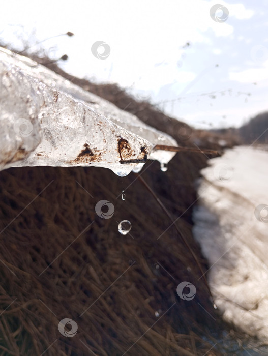 Скачать Весенняя капель на реке фотосток Ozero