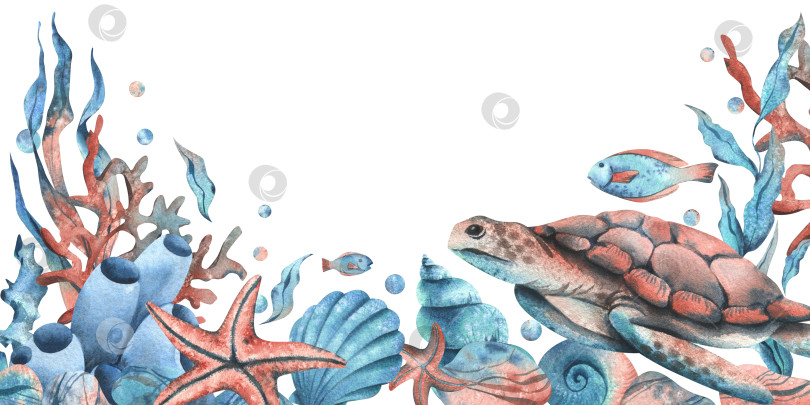 Скачать Клипарт подводного мира с морскими животными - китами, черепахами, осьминогами, морскими коньками, морскими звездами, ракушками, кораллами и водорослями. Рисованная акварельная иллюстрация. Рамка, шаблон, обрамление, выделенное на фоне. фотосток Ozero