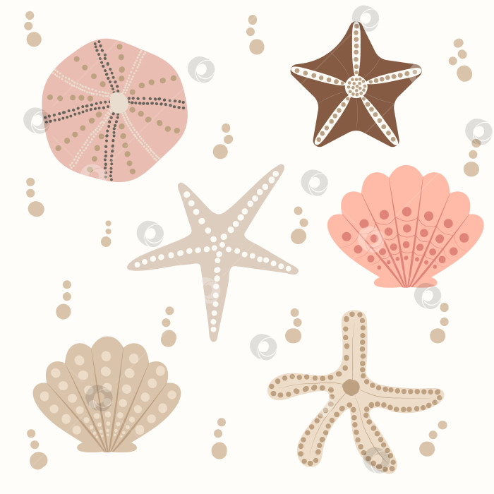 Скачать набор в форме морских раковин и морских звезд бледно-песочного цвета для вашего дизайна фотосток Ozero