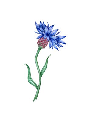 [object Object] undefined